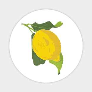 Food Vignette: Yellow Lemon Magnet